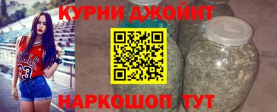 гашик Гудермес