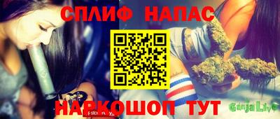 гашик Гудермес