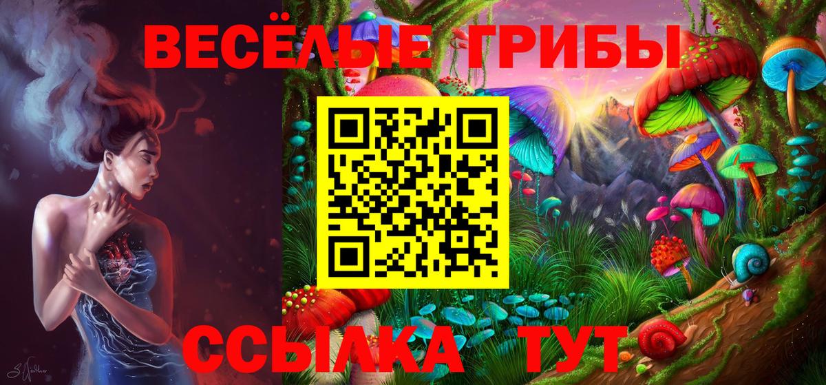Сатка  Псилоцибиновые грибы Magic Shrooms  Вход с VPN 